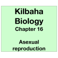Biology Chapter 16 - Asexual Reproduction
